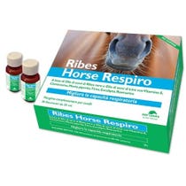 NBF Lanes Ribes Horse Respiro Ergänzungsfuttermittel für Pferde 10 Fläschchen 25ml-2