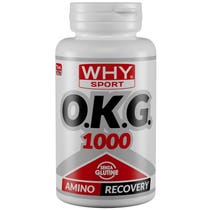 OKG 1000 60CPR-1