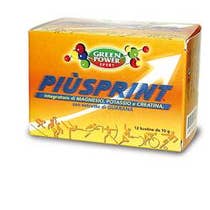 PIUSPRINT INTEGRAT POLV 12BUST-1