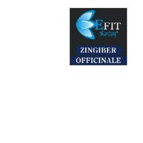 ZINGIBER OFFICINALE EF 30ML-1