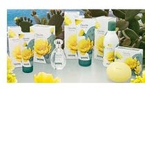 L'AMANDE OPUNTIA HANDCREME-1