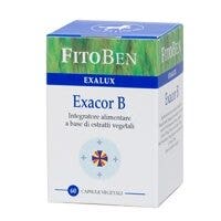 EXACOR B 60CPS-2