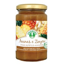 FRU COMPOSTA ANANAS/ZENZERO-1