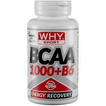WHYSPORT BCAA 1000+B6 200CPR-1