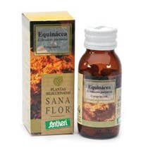 ECHINACEA 60CPR 26G STV-1