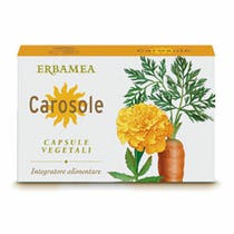 CAROSOL 24CPS-1