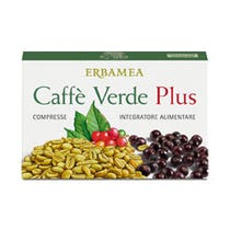CAFFE' VERDE PLUS 24CPR-1