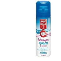 Gesund und schön Schampoo Mousse trocken 200ml-2