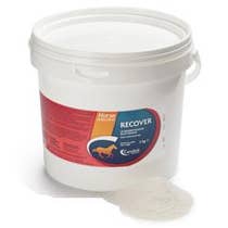 RECOVER REIDRATANTE CAV 15KG-1