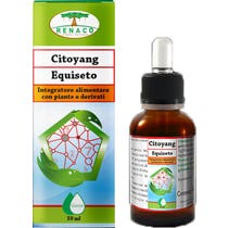CITOYANG EQUISETO TROPFEN 50ML-2