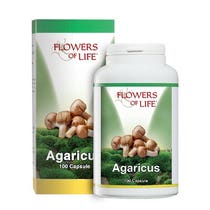AGARICUS BLAZEI 100CPS BLUMEN-2