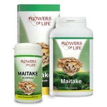 MAITAKE 50CPS BLUMEN DES LEBENS-1