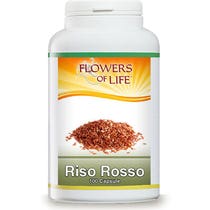 ROTER REIS 100CPS BLUMEN VON L-2