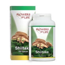 SHIITAKE 100CPS BLUMEN VON LIF-2