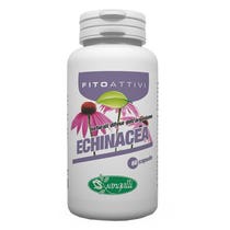 PHYTOAKTIVE ECHINACEA 60CPS-2