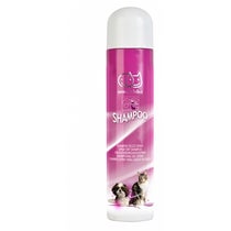 SHAMPOO SECCO SCHIUMA 300ML-1