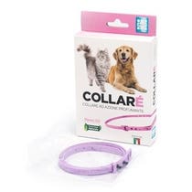 Halsband für Hunde und Katzen mit duftender Wirkung und rosafarbenem Neemöl-2