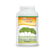 GINKGO BILOBA 100CPS BLUMEN-2