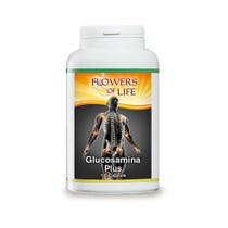 GLUCOSAMIN PLUS 100CPS FLUSS-2
