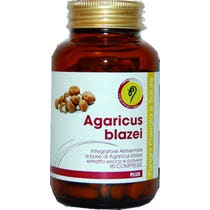 AGARICUS BLAZEI PL-LINIE 90CPR-2