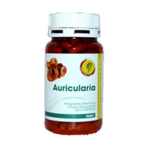 AURICULARIA LINEA BASIC 120CPR-1