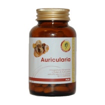 AURICULARIA LINEA PLUS 90CPR-1