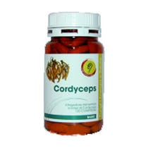 CORDYCEPS BASISLINIE 120CPR-2