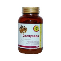 CORDYCEPS LINEA PLUS 90CPR-1