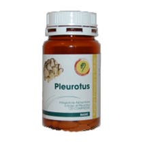 PLEUROTUS BASISLINIE 120CPR-2