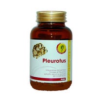 PLEUROTUS PLUS LINIE 90CPR-2