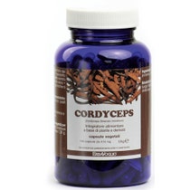 CORDYCEPS 140CPS-1