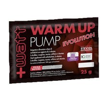 AUFWÄRMPUMPE EVOLUTION 25G-2