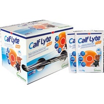CALF LYTE PLUS POLVERE 24BUST-1