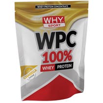 WHYSPORT WPC 100 % WHEY DONUT-1
