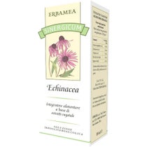 SINERGICUM ECHINACEA 100ML-1