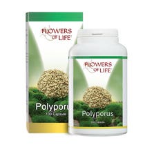 POLYPOR 100CPS-2