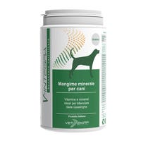 V-INTEGRA ÄLTERER HUND 200G-1