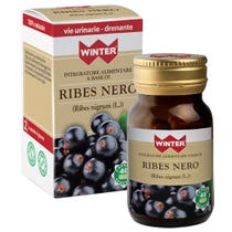 WINTER CURRANT BLACK 40CPS VEG-2