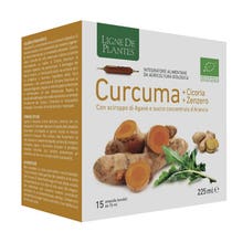 KURKUMA CHICORY ZENZ 15AMPOLLE-2