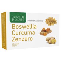 BOSWELLIA CURCUMA ZENZERO60CPS-1