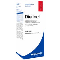 Yamamoto Research Diuricell Wildbeergeschmack 1 Liter-1
