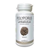 POLYPORUS UMBELLATUS 60CPS-1