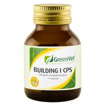 BUILDING I 50CPS-1