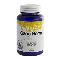 GANO-NORM 200CPS-2