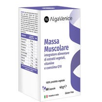 ALGAVENICE MASSA MUSC 60CPS-2