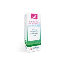 FAGUS SYLVATICA EDELSTEINE MG 30ML-2