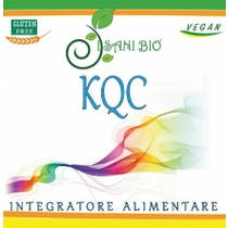 KQC 100 CPS-1