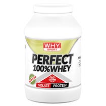WHYSPORT PERFECT WHEY PISTACH-1