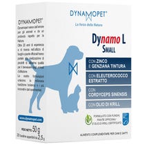 DYNAMO L SMALL 20BUST 2,5G-1