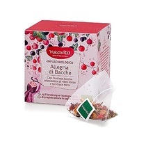 Neavita Filtroscrigno Infuso Allegria Di Bacche Bio 15 Filtri-1